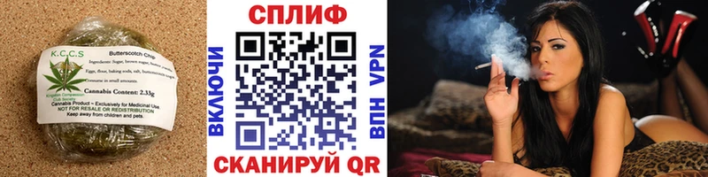 Cannafood конопля  Купить  Сальск 