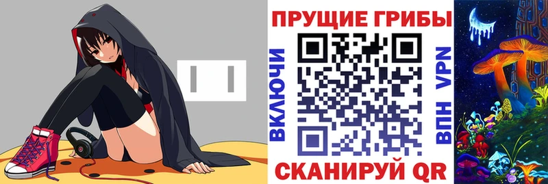 Купить  Сальск  Галлюциногенные грибы Psilocybe 